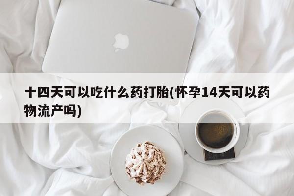 打胎药专卖打胎药专门卖店微信十四天可以吃什么药打胎(怀孕14天可以药物流产吗)